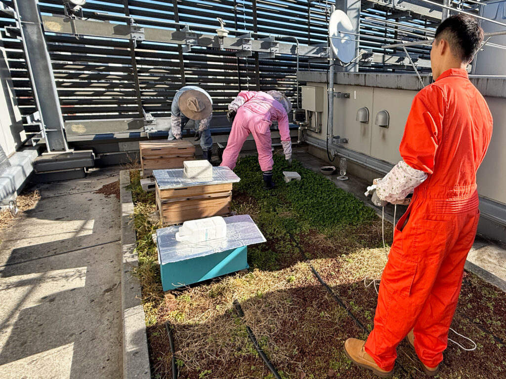 みつばちページです 本日開催！！】8月11日BEE＆HONEY DAYS最終日 みつばちの森マルシェ